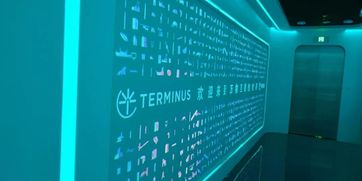 走進(jìn)特斯聯(lián)，領(lǐng)略萬物互聯(lián)新時代